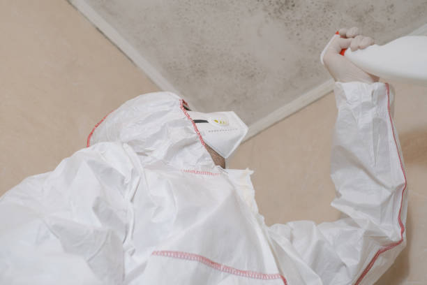 Best Mold Remediation  in Crystal City, TX