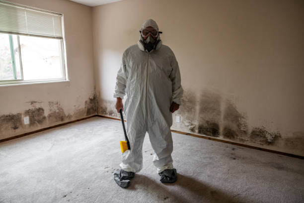 Best Professional Mold Removal  in Crystal City, TX